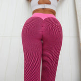 Sharp Focus Leggings Fitness Yoga Pants Women's Seamless High Waist Breathable Gym Leggings