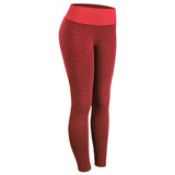 Sharp Focus Leggings Fitness Yoga Pants Women's Seamless High Waist Breathable Gym Leggings