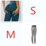 Sharp Focus Leggings Fitness Yoga Pants Women's Seamless High Waist Breathable Gym Leggings